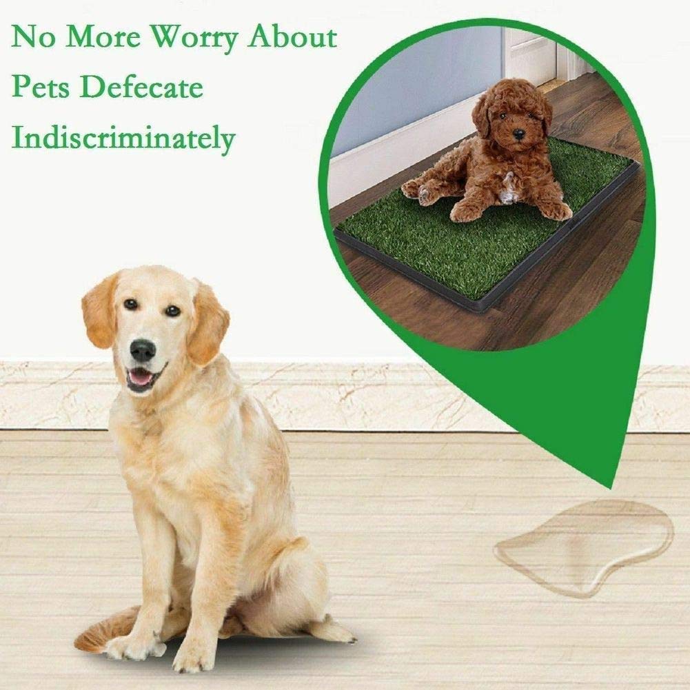 Indoor Outdoor Dog Potty Trainer 20" X 25" V5389
