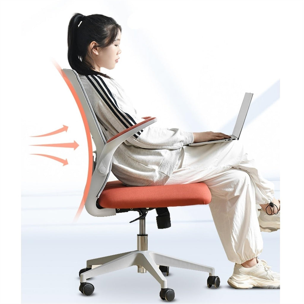 Mesh High Back Ergonomic Office Chair V841324