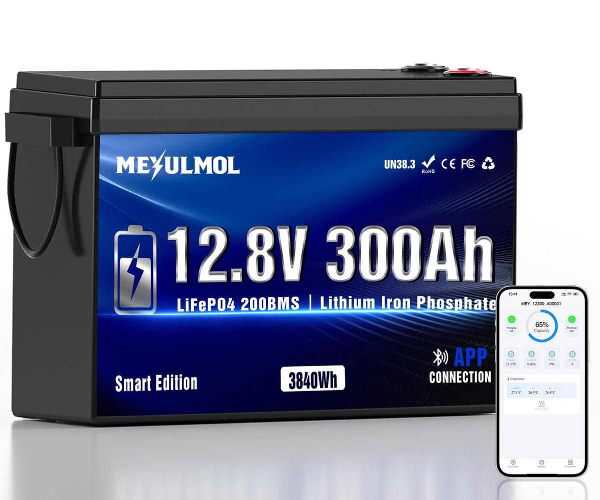 12V 300Ah LiFePO4 Lithium Battery with 200A BMS X390267