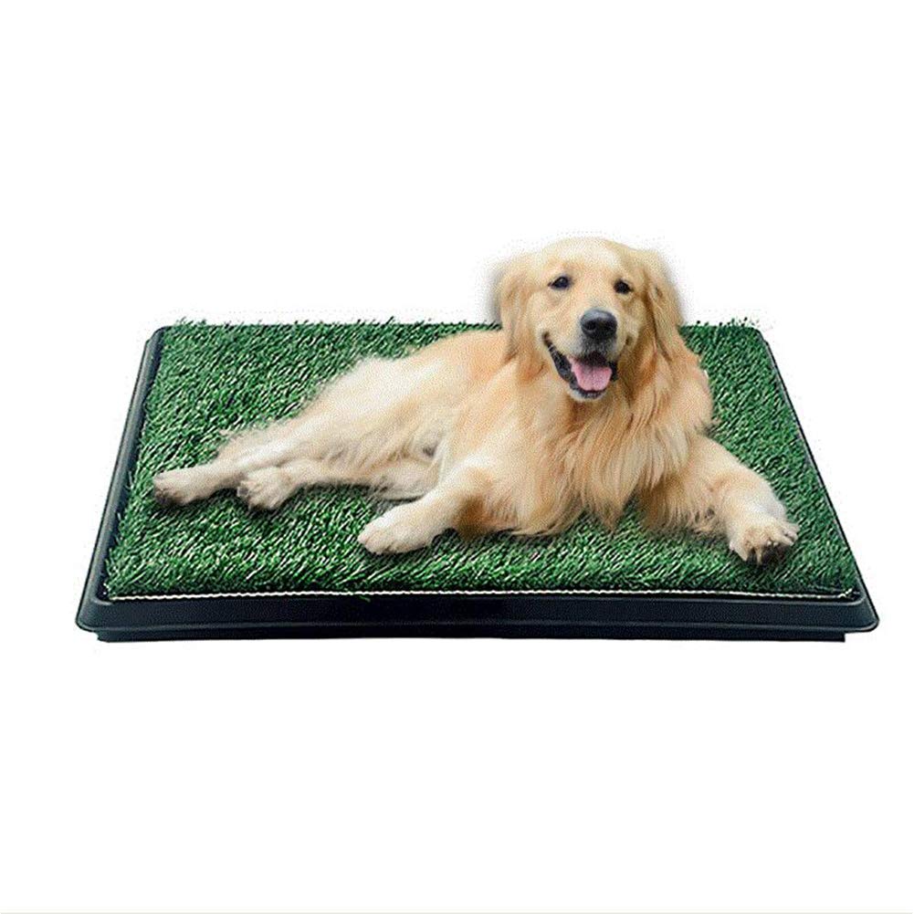 Indoor Outdoor Dog Potty Trainer 20" X 25" V5389
