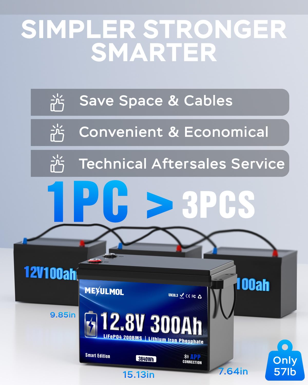 12V 300Ah LiFePO4 Lithium Battery with 200A BMS X390267