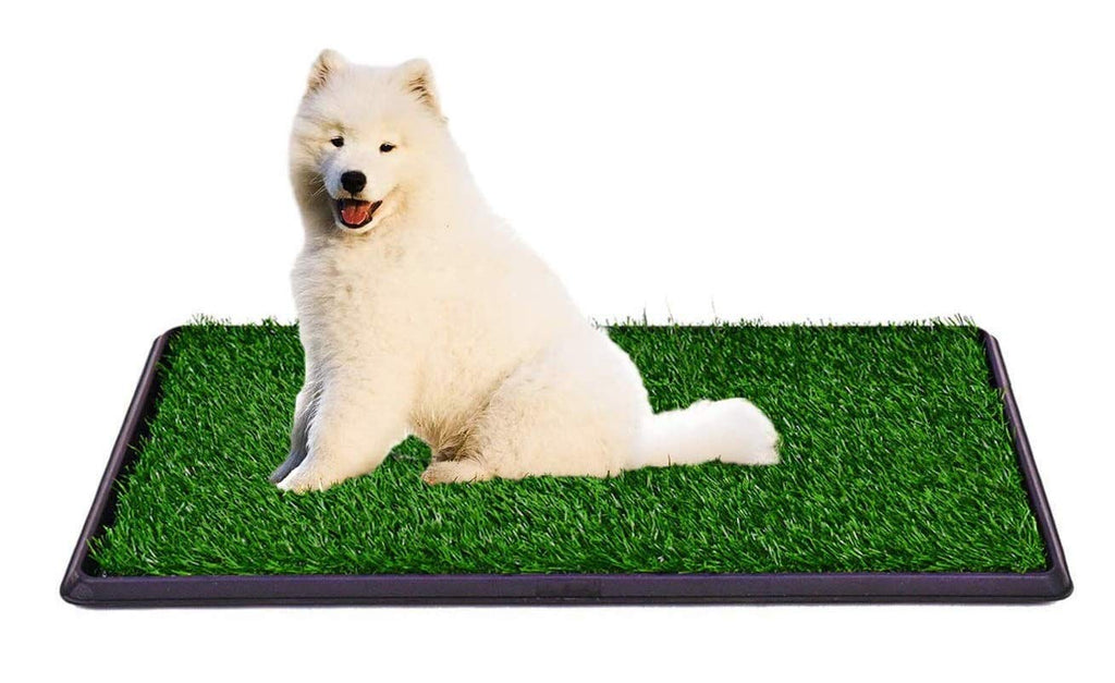 Indoor Outdoor Dog Potty Trainer 20" X 25" V5389