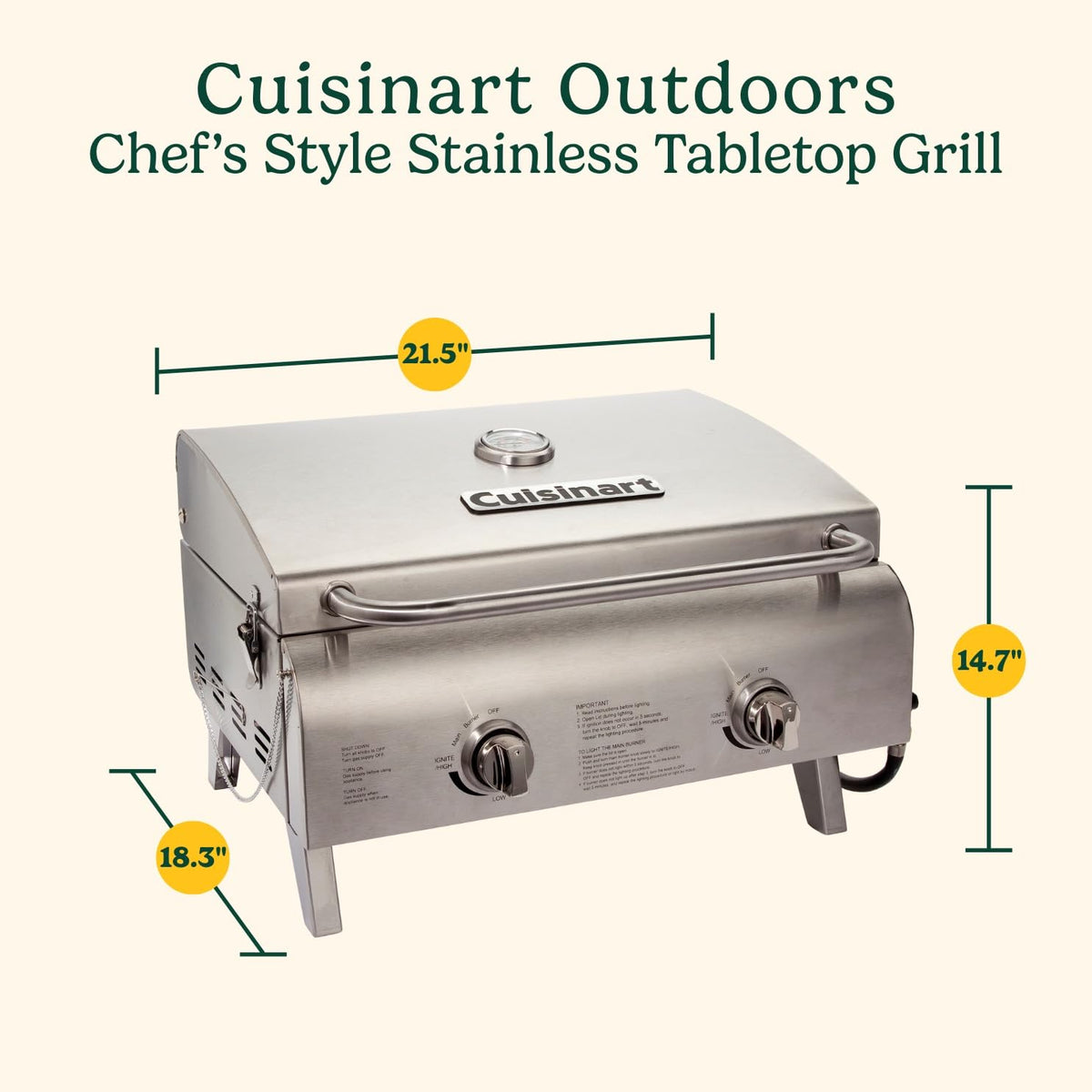 Portable 2-Burner Outdoor Gas Grill W120