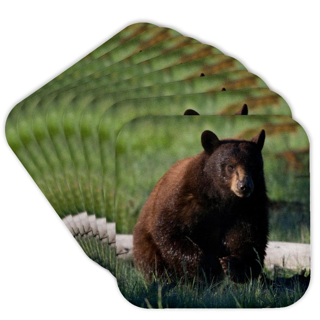 Set of 8 Cork Coasters D1188