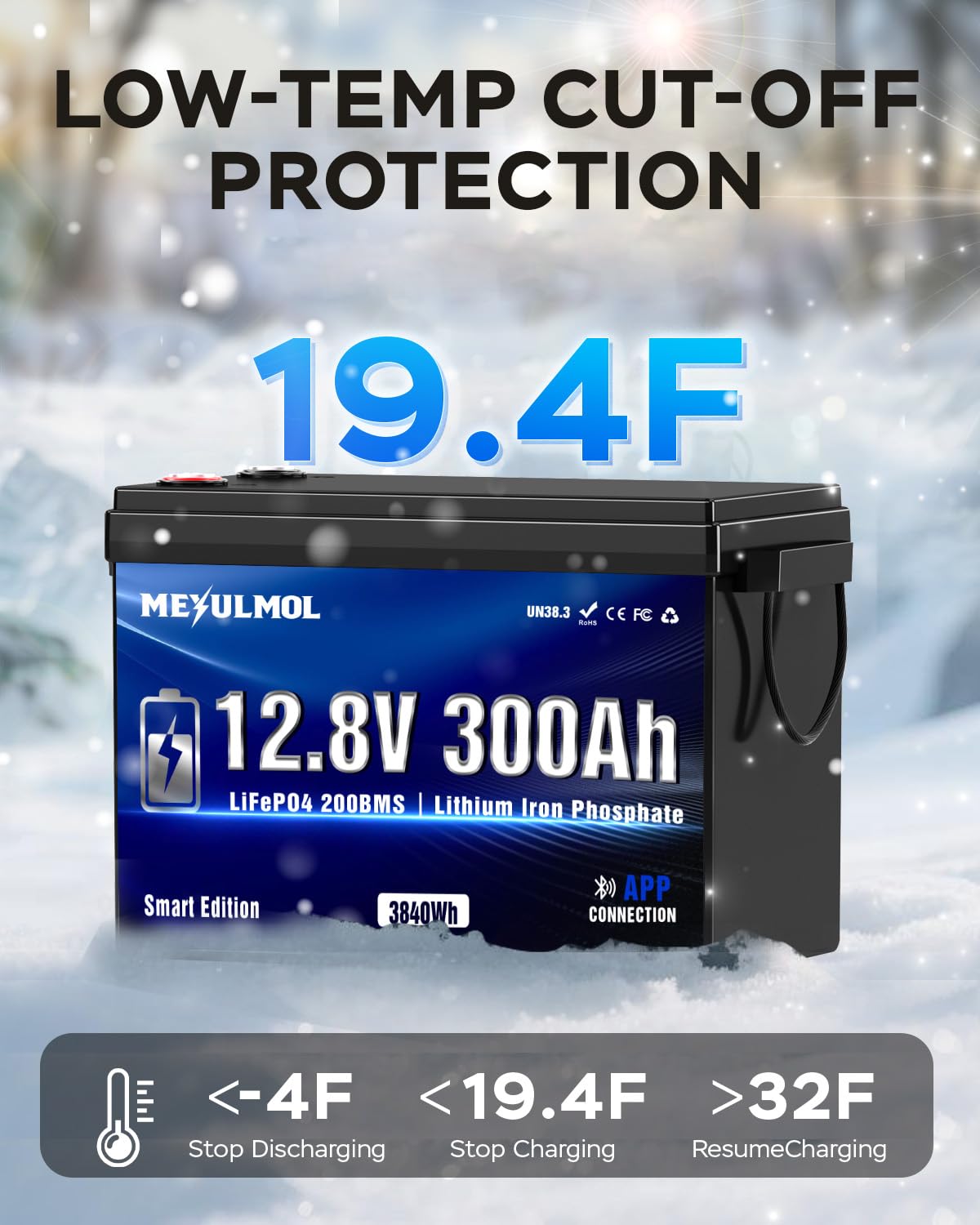 12V 300Ah LiFePO4 Lithium Battery with 200A BMS X390267