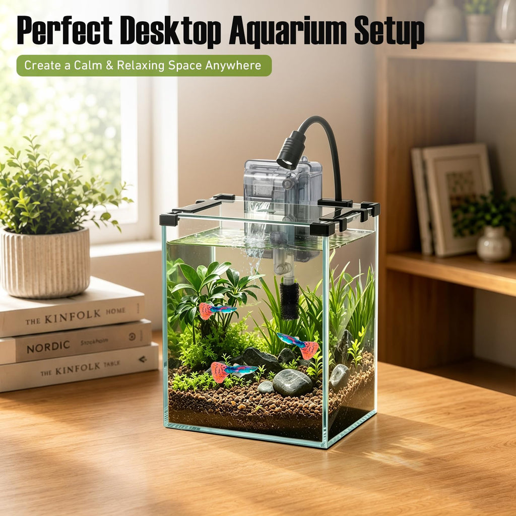 2.2 Gallon Glass Fish Tank Kit R9722