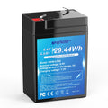 6.4V 4.6Ah LiFePO4 Battery C644