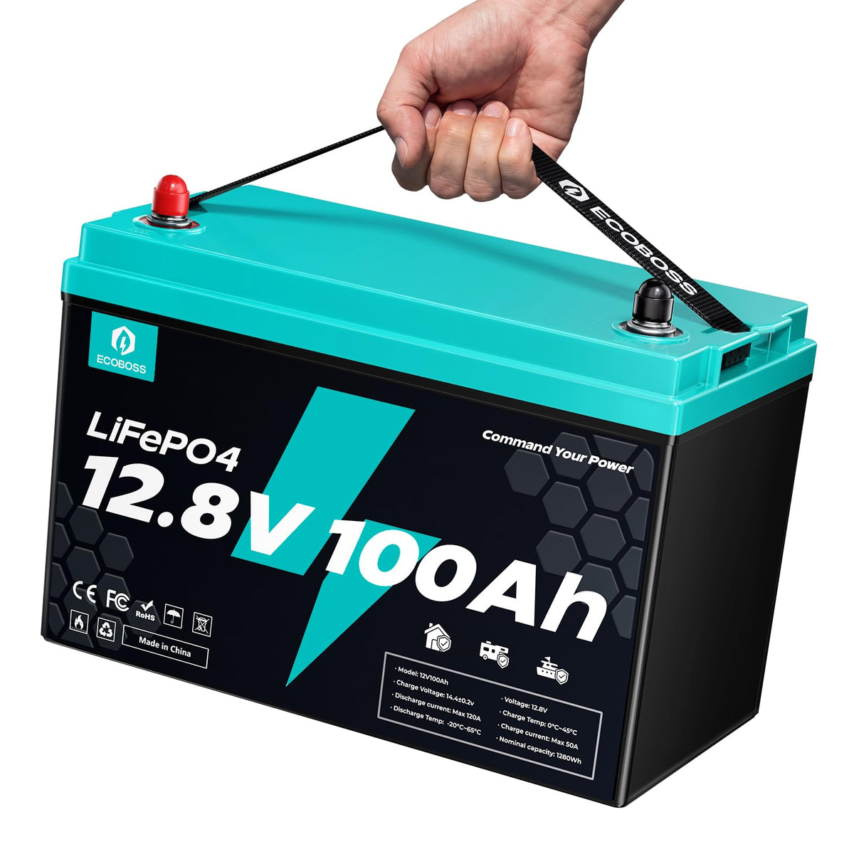12V 100Ah LiFePO4 Battery Group 31 X75841