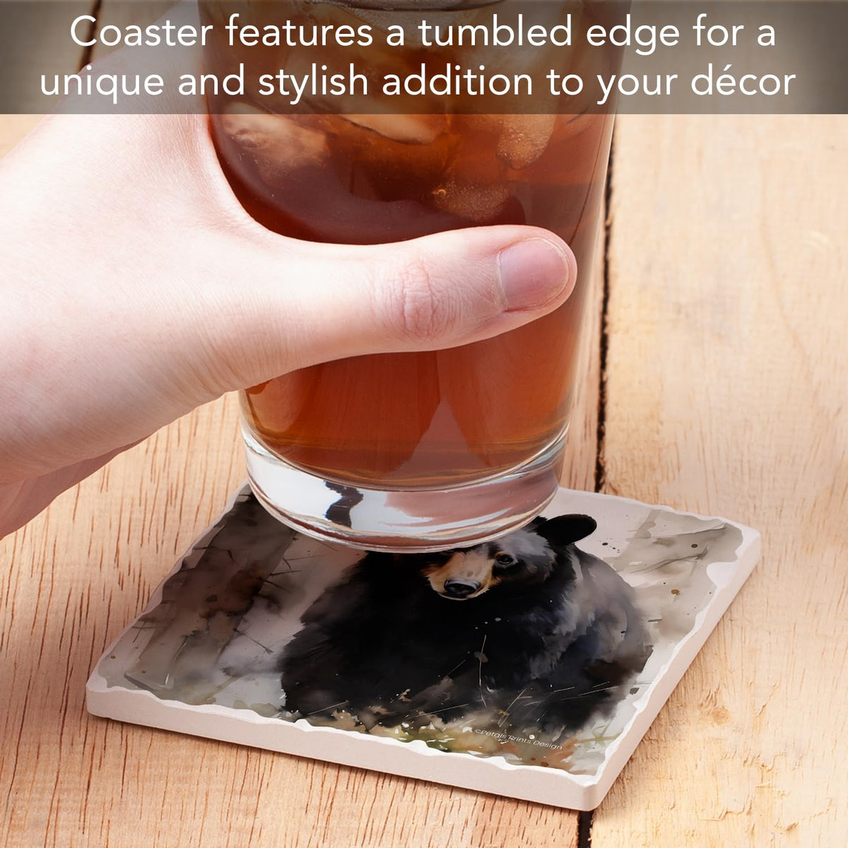 Black Bear Coasters D372