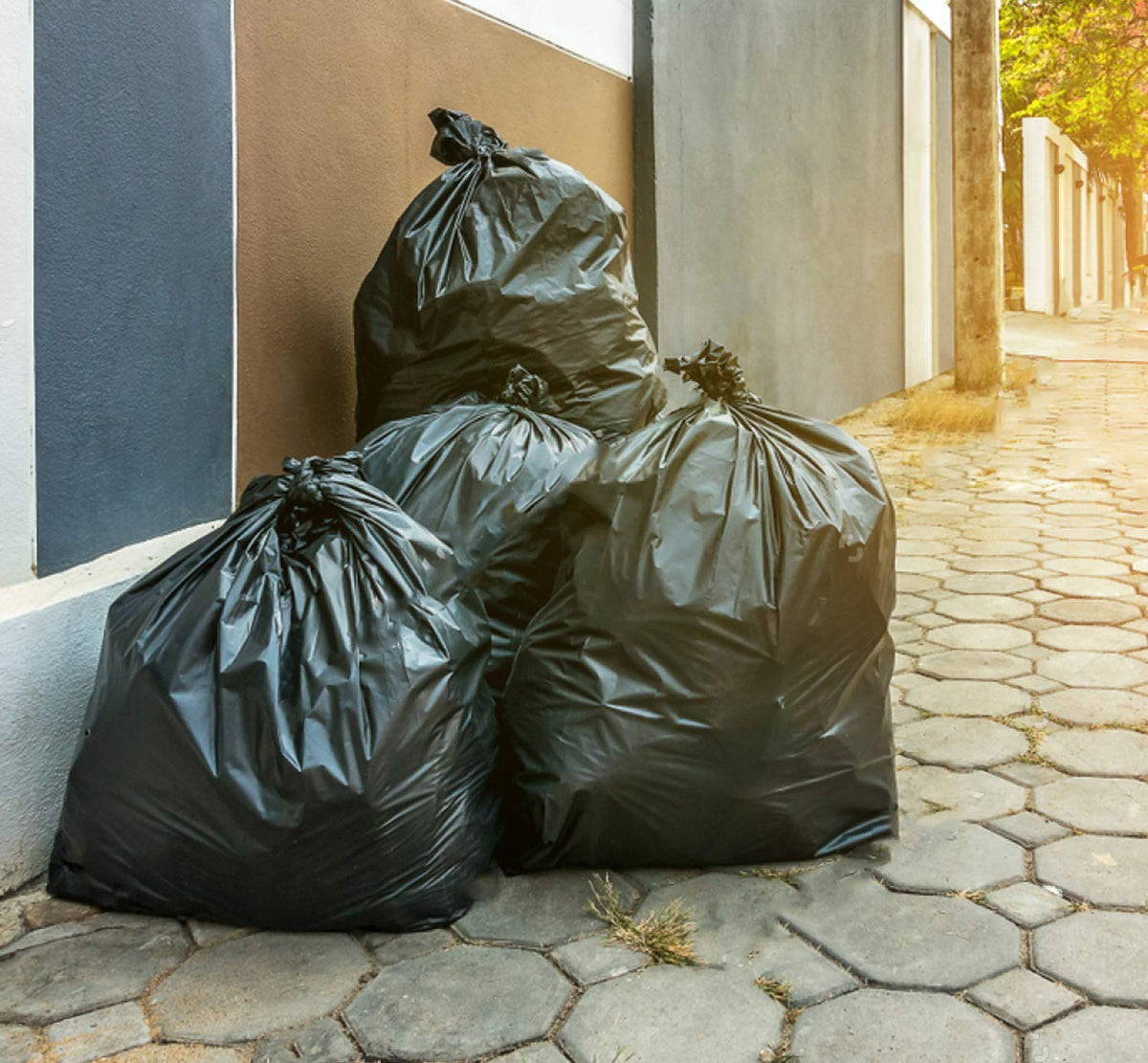 55 Gallon 3 Mil Black Contractor Garbage Bags F65642