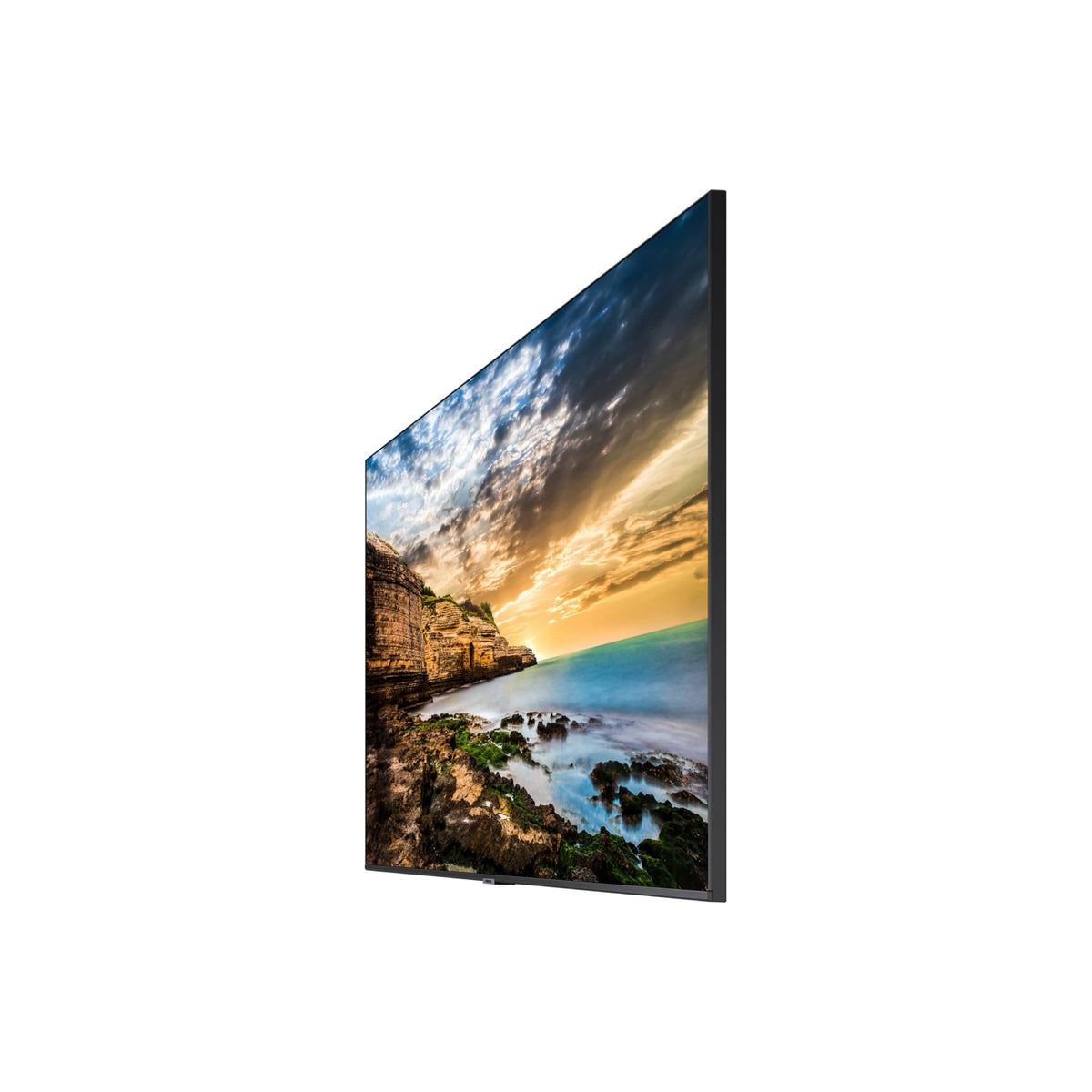 43” UHD Display with Built-in Speakers W681227