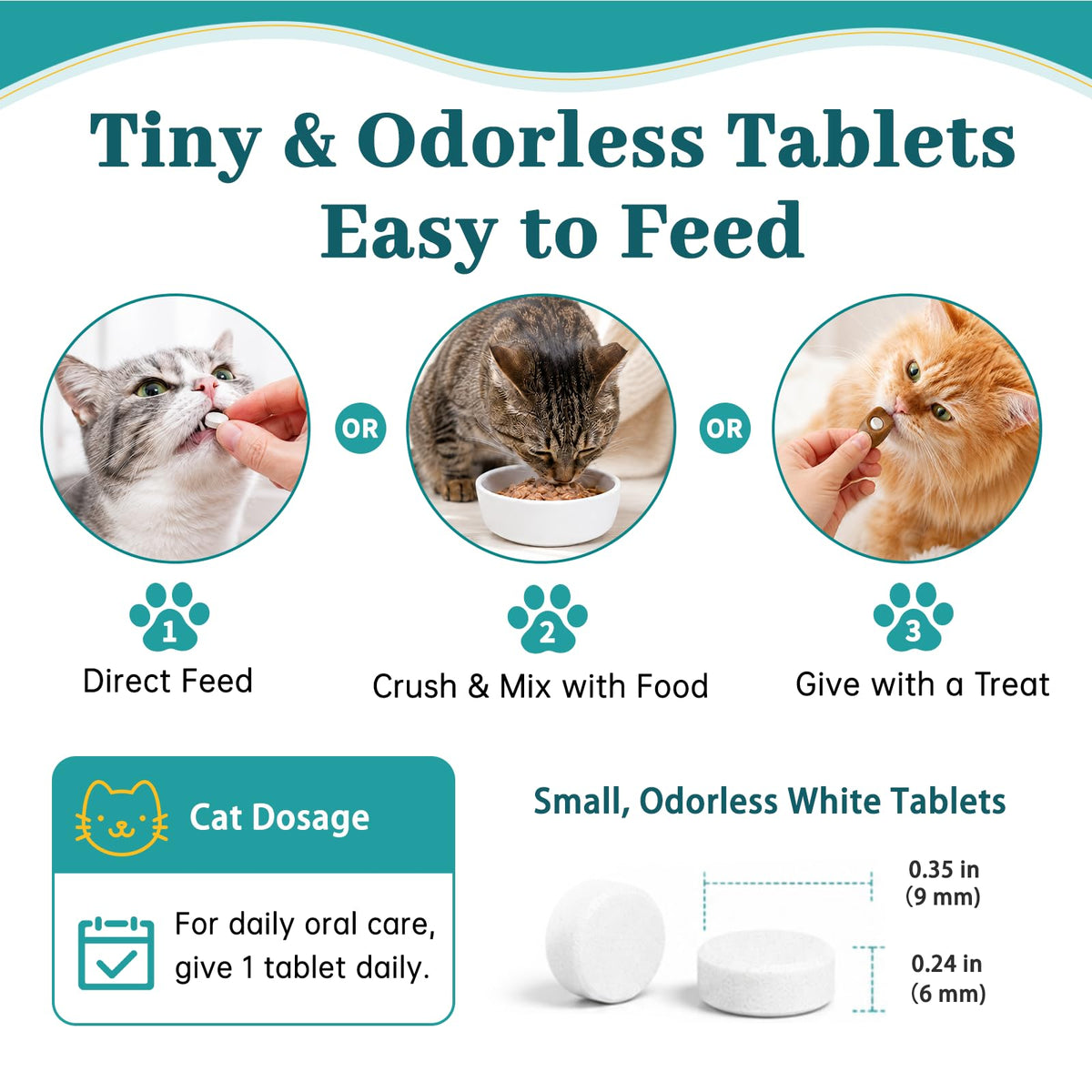 Cat Dental Care Oral Health Z19921