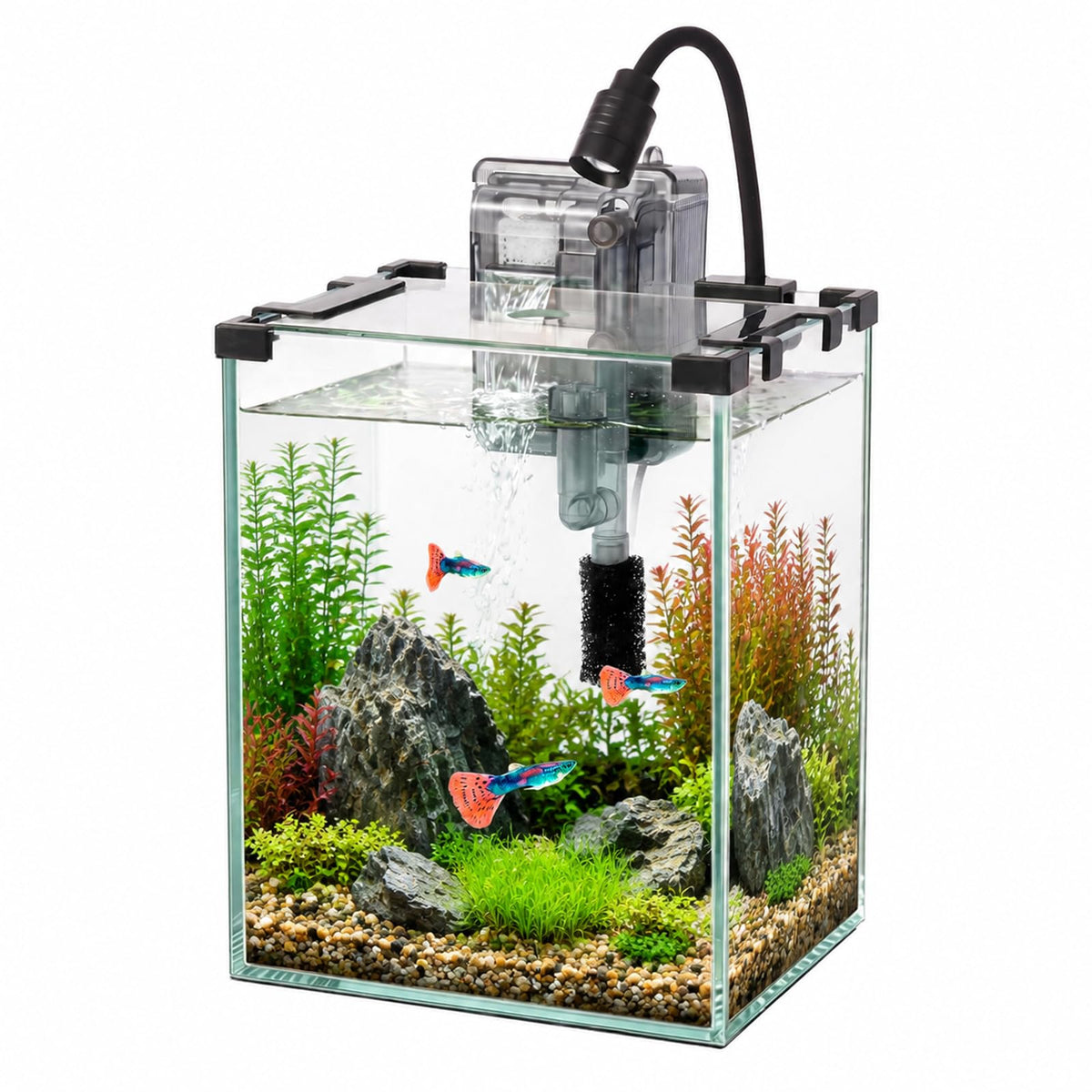 2.2 Gallon Glass Fish Tank Kit R9722