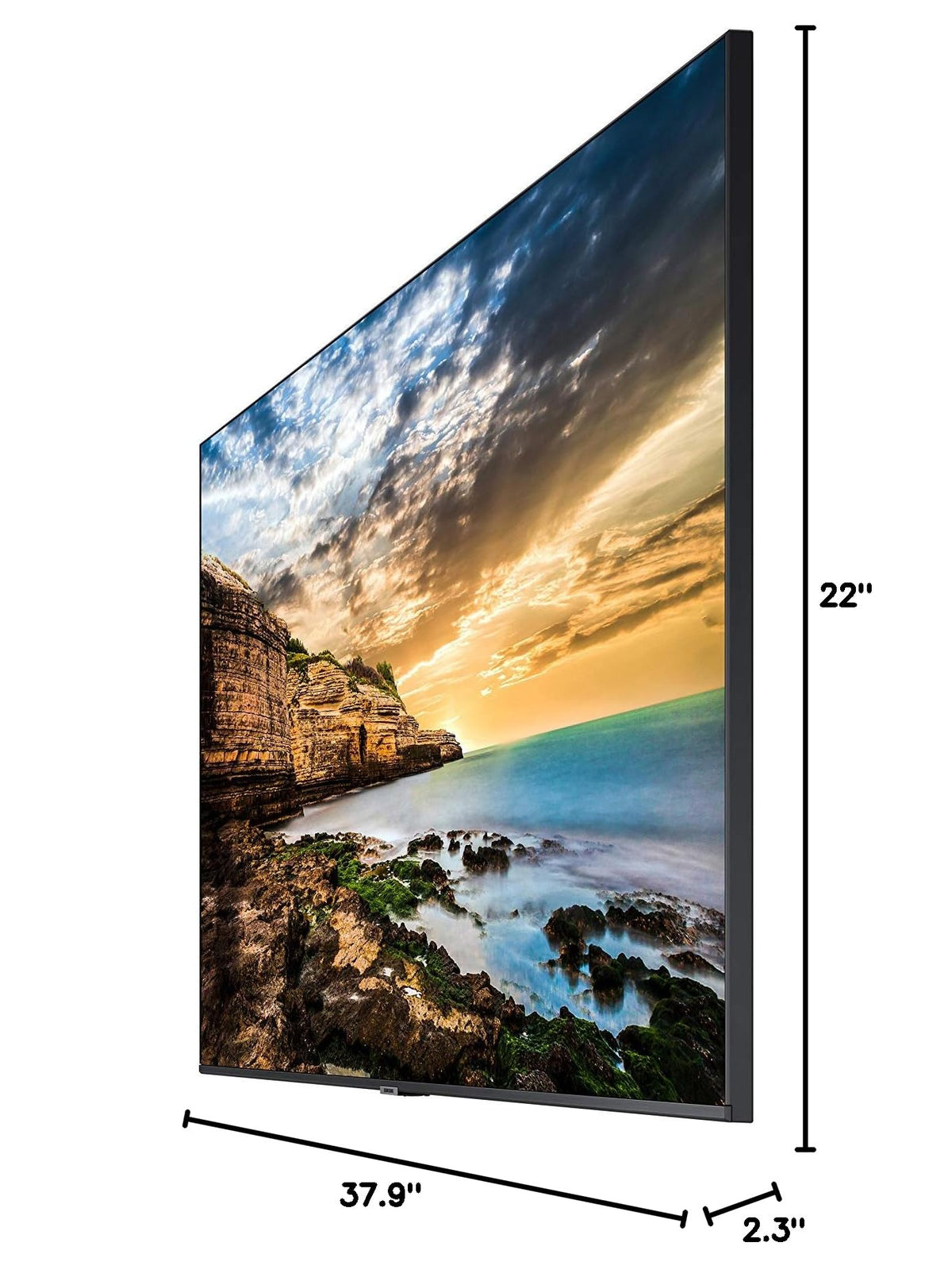 43” UHD Display with Built-in Speakers W681227