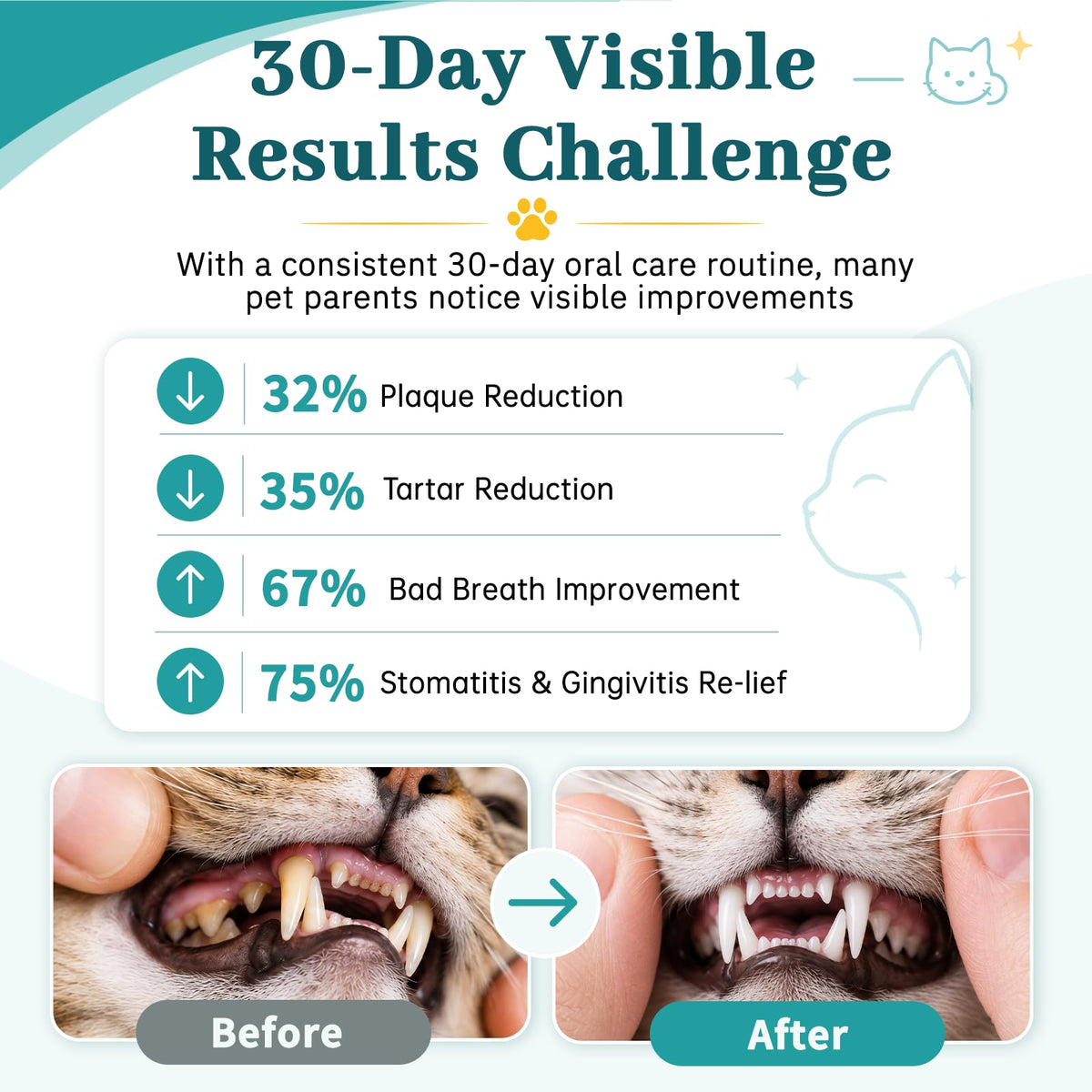 Cat Dental Care Oral Health Z19921