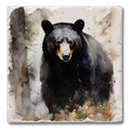 Black Bear Coasters D372