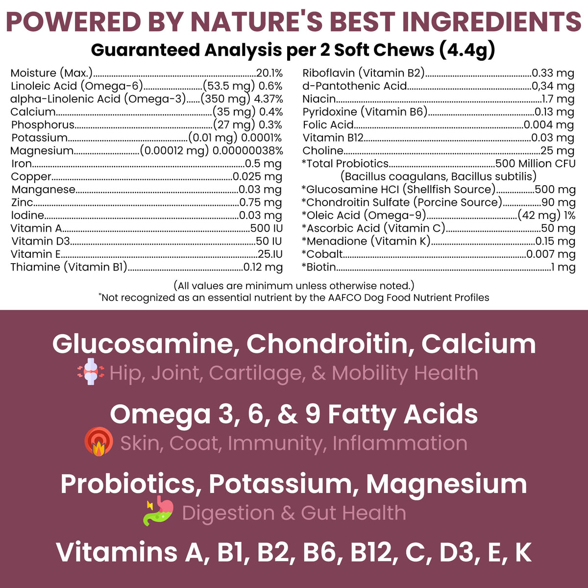 Dog Multivitamin Soft Chew B490