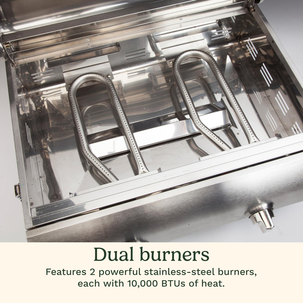Portable 2-Burner Outdoor Gas Grill W120