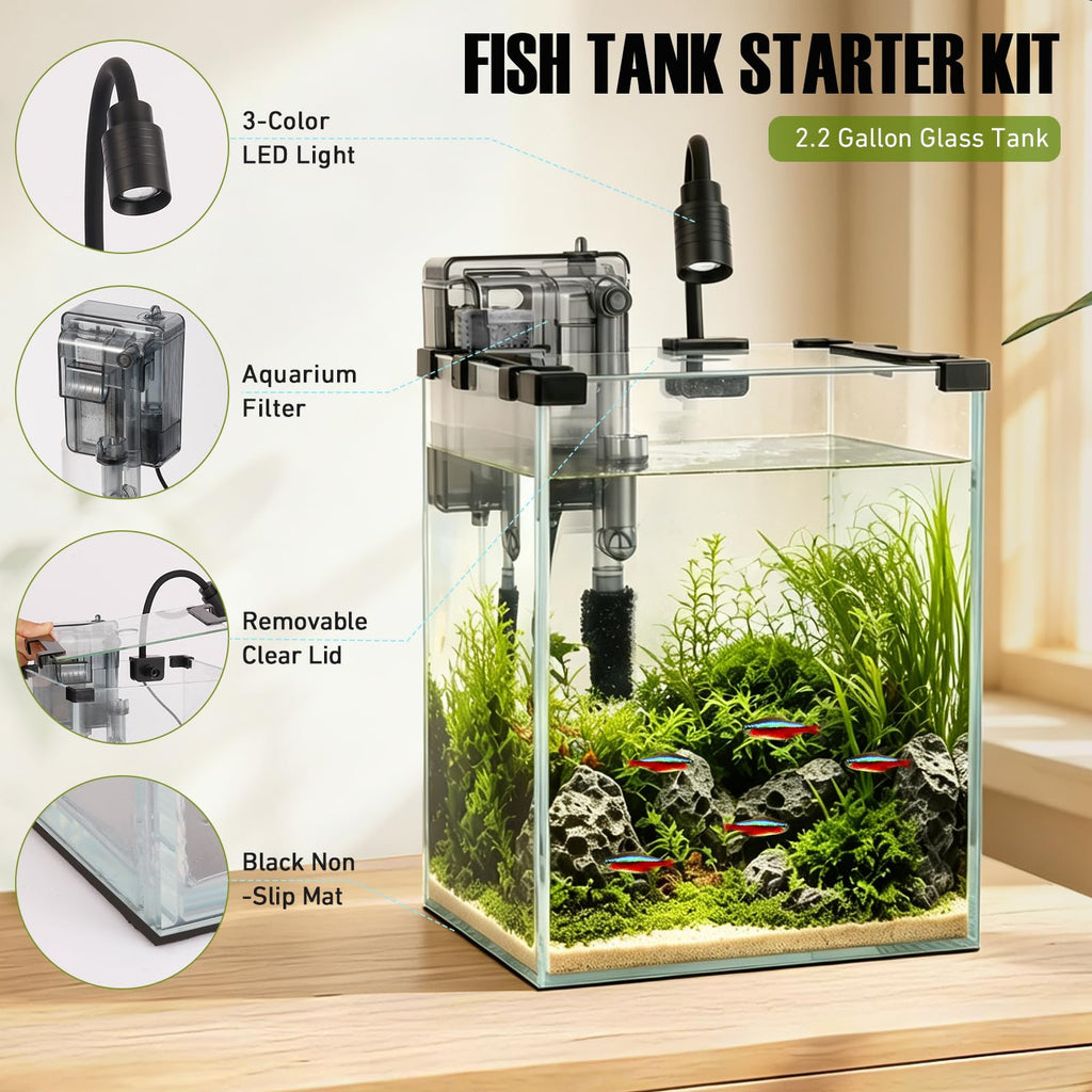 2.2 Gallon Glass Fish Tank Kit R9722