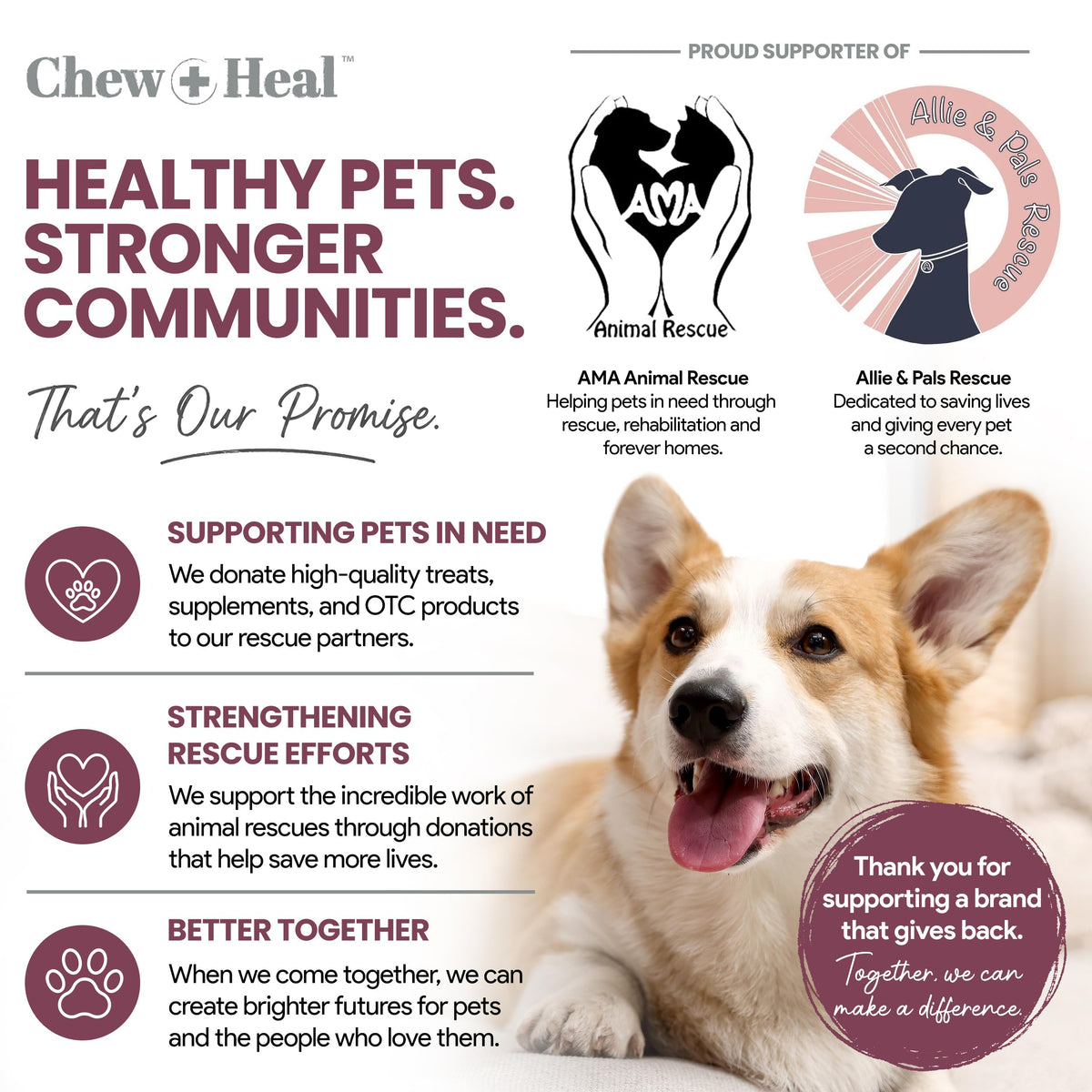 Dog Multivitamin Soft Chew B490