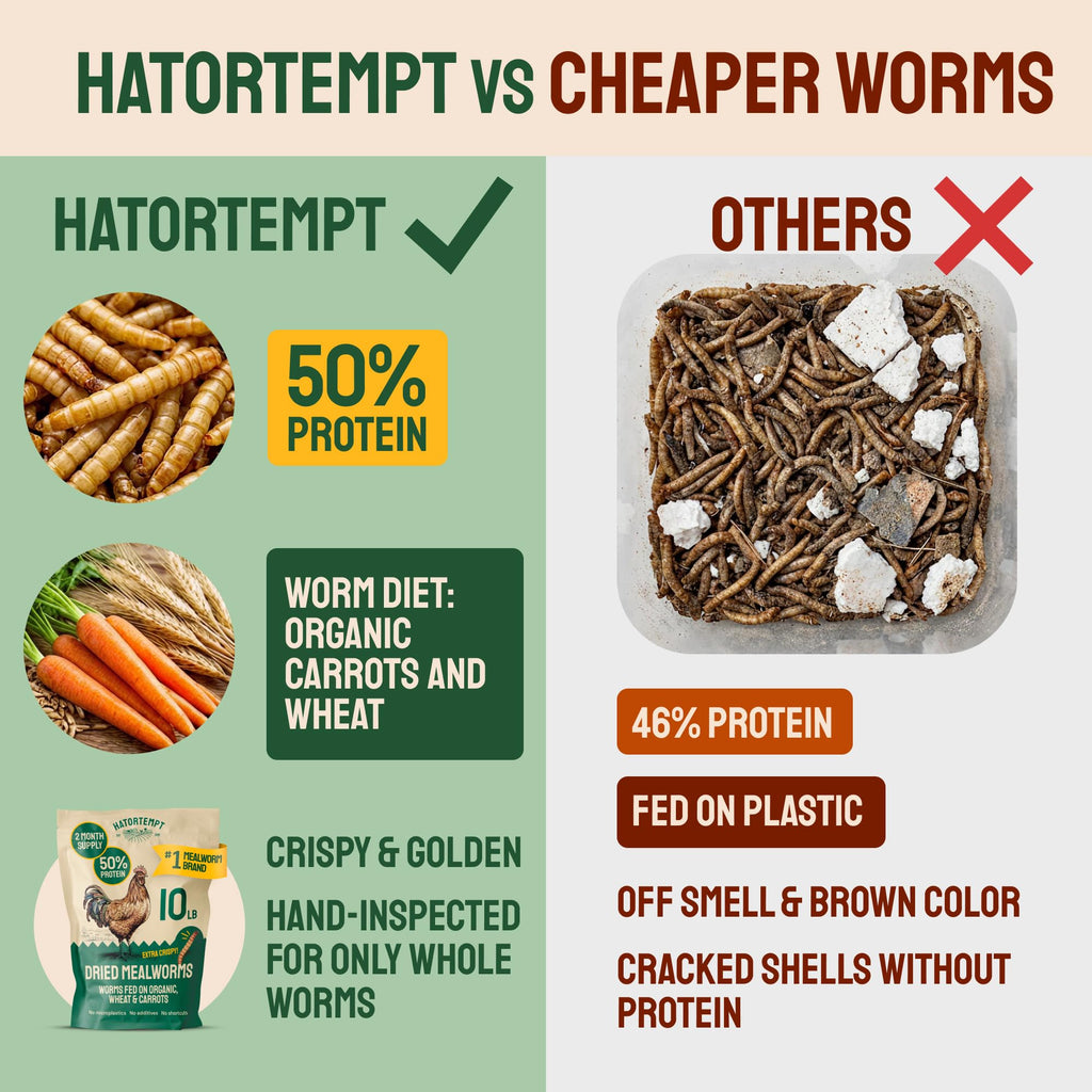 20lb Dried Mealworms Chicken Feed Z992
