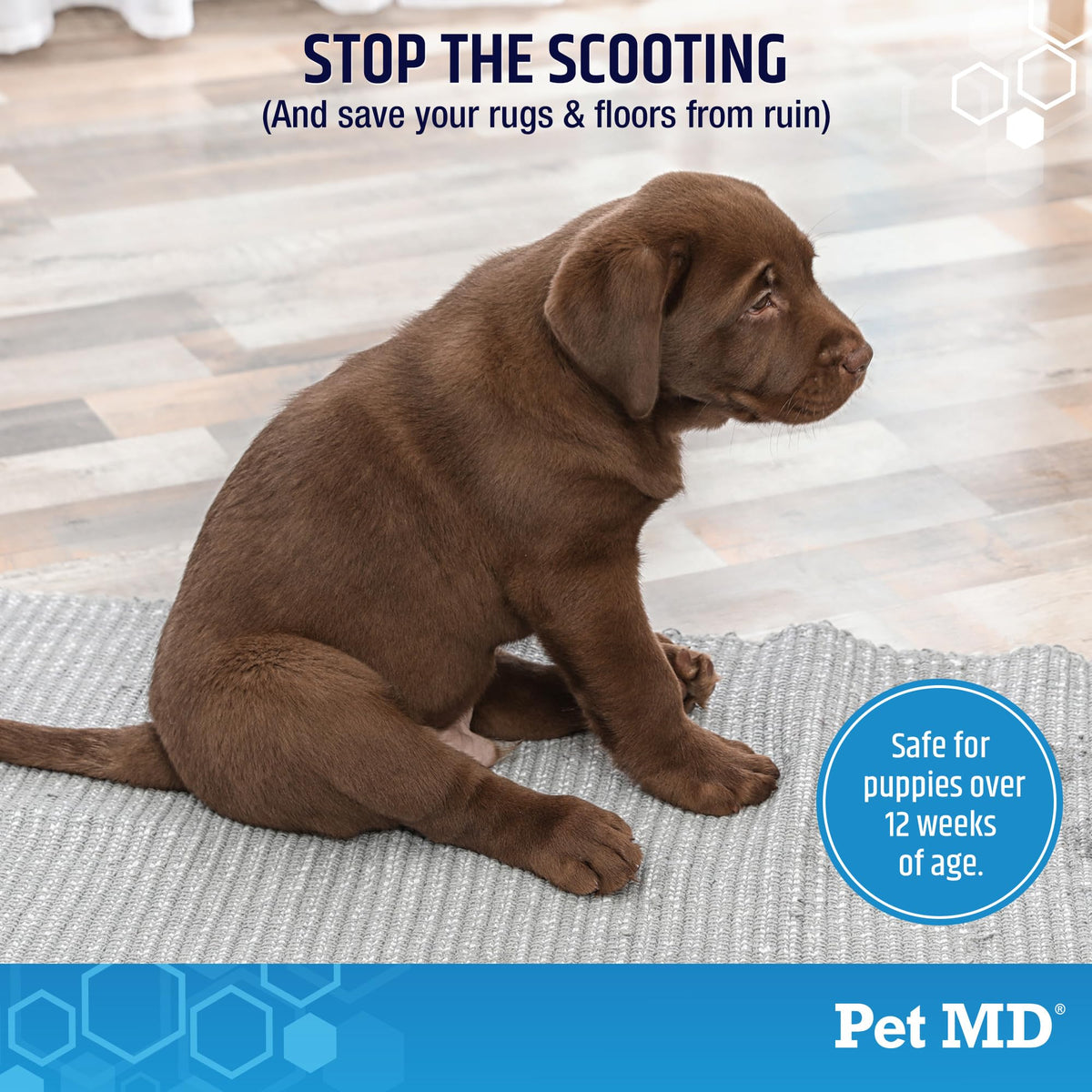 Dog Anal Gland Chews with Pumpkin and Fiber 60ct I369