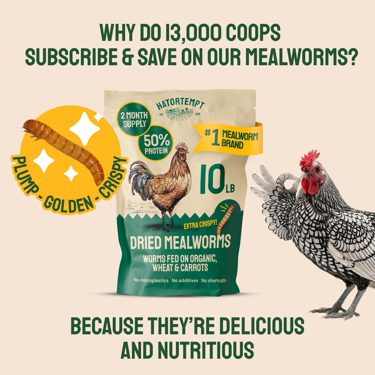 20lb Dried Mealworms Chicken Feed Z992