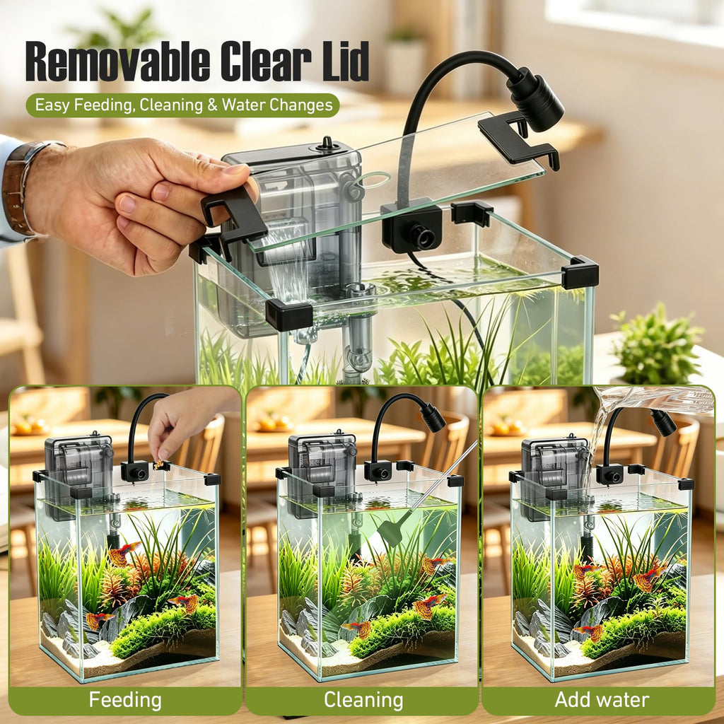 2.2 Gallon Glass Fish Tank Kit R9722