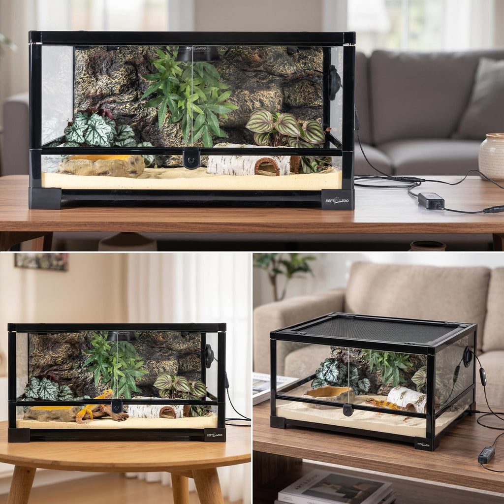 20 Gallon Reptile Terrarium Starter Kit with Heating System Thermostat UVB Light Hide Cave Feeding Dish Z78873