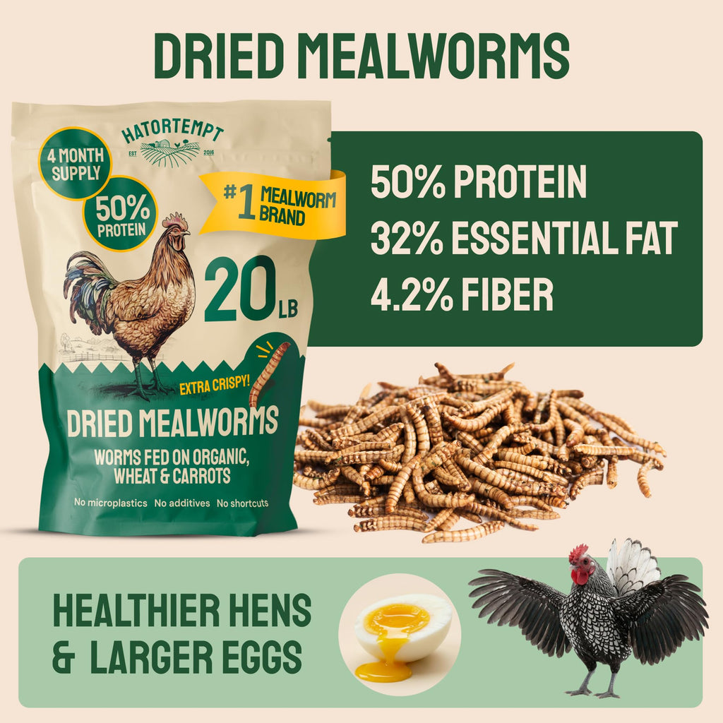 20lb Dried Mealworms Chicken Feed Z992