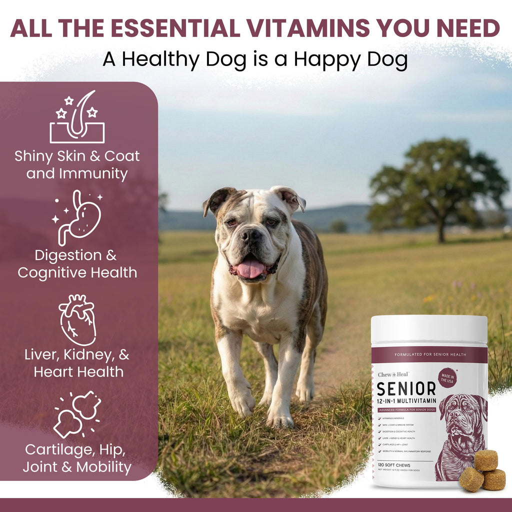 Dog Multivitamin Soft Chew B490