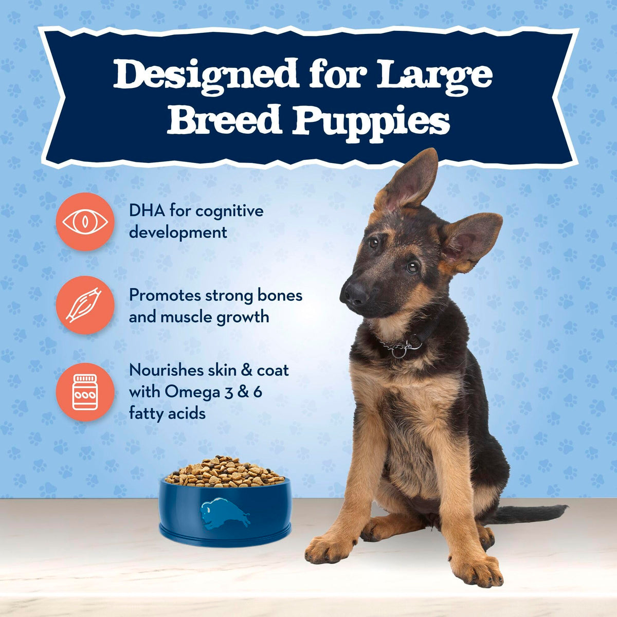 Large Breed Puppy Dry Dog Food Chicken and Brown Rice 24-lb Bag M638440