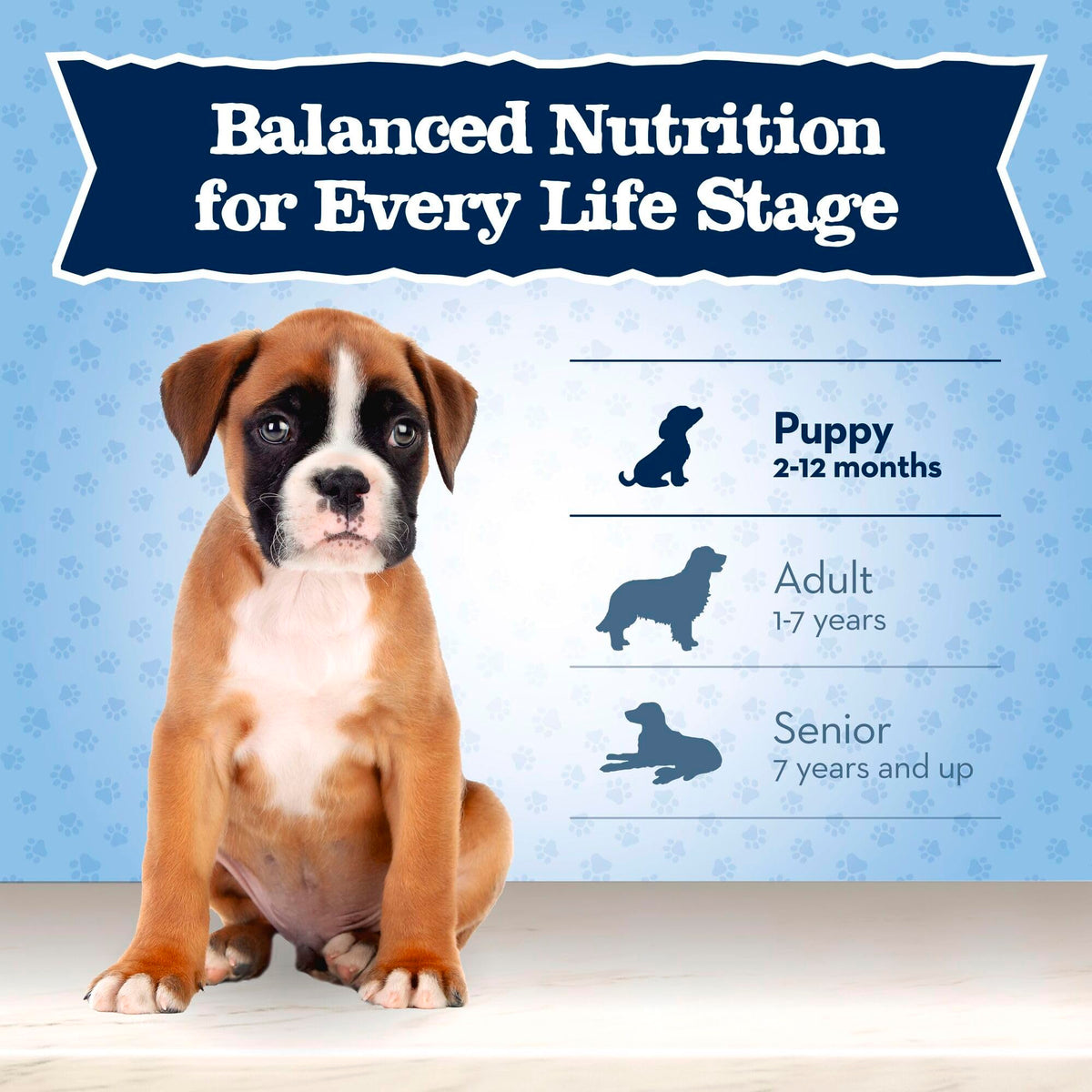Large Breed Puppy Dry Dog Food Chicken and Brown Rice 24-lb Bag M638440