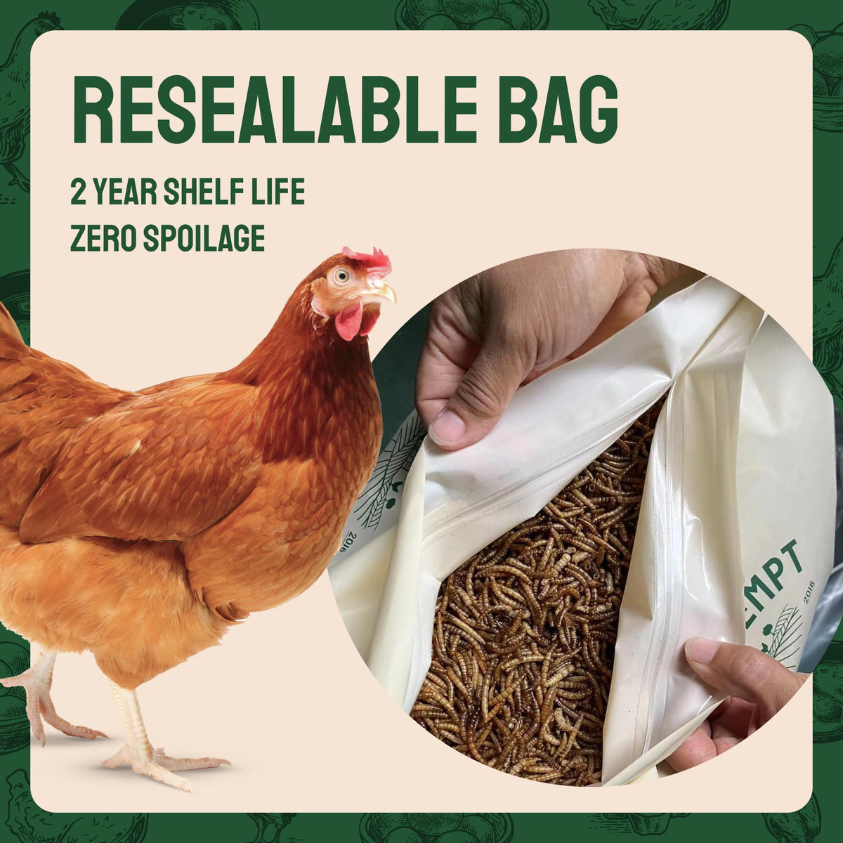 20lb Dried Mealworms Chicken Feed Z992