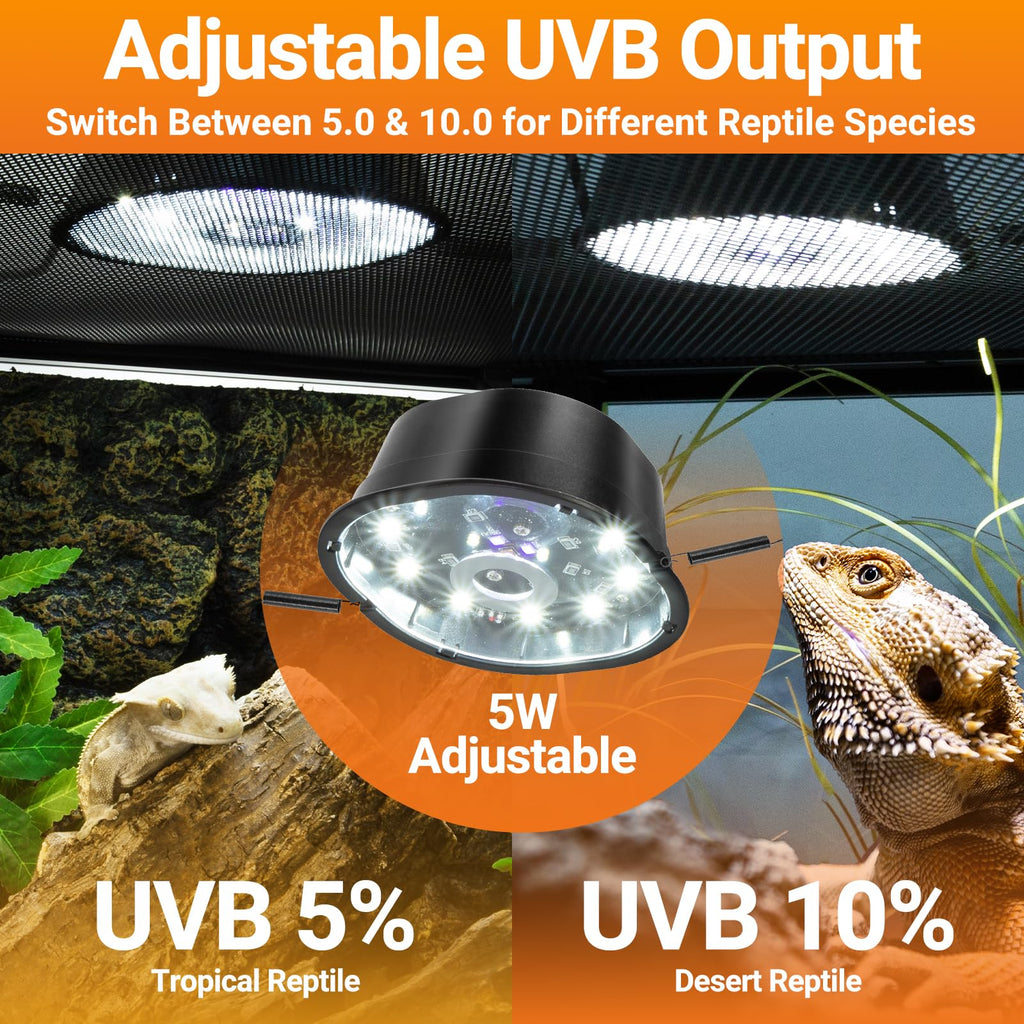 20 Gallon Reptile Terrarium Starter Kit with Heating System Thermostat UVB Light Hide Cave Feeding Dish Z78873