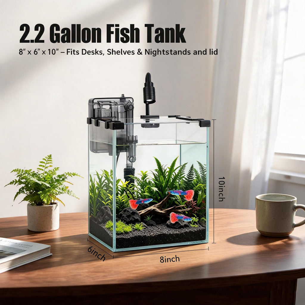 2.2 Gallon Glass Fish Tank Kit R9722