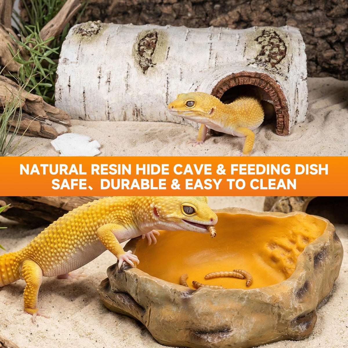 20 Gallon Reptile Terrarium Starter Kit with Heating System Thermostat UVB Light Hide Cave Feeding Dish Z78873