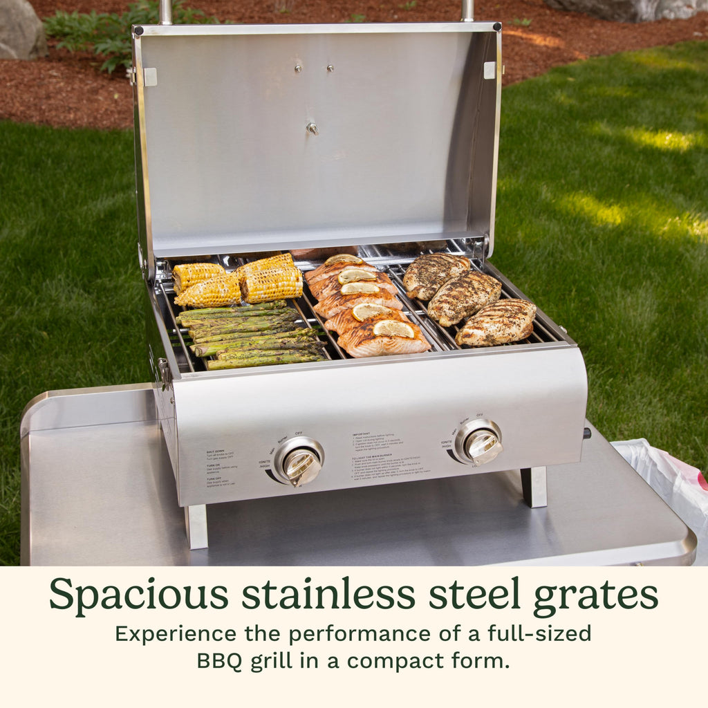 Portable 2-Burner Outdoor Gas Grill W120