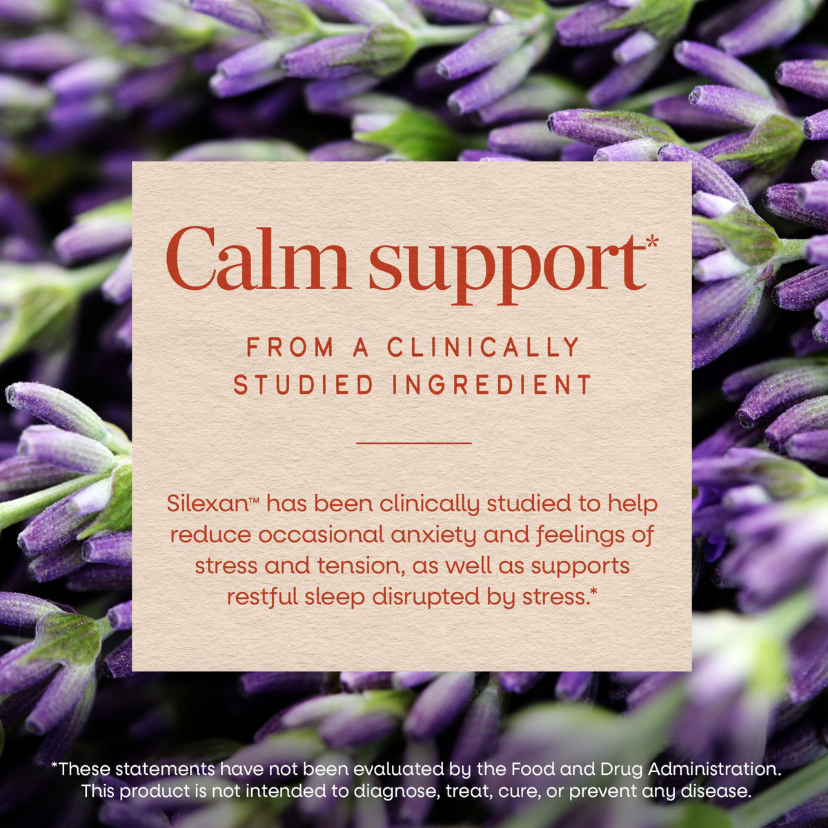 Lavender Oil Supplement 30 ct V960