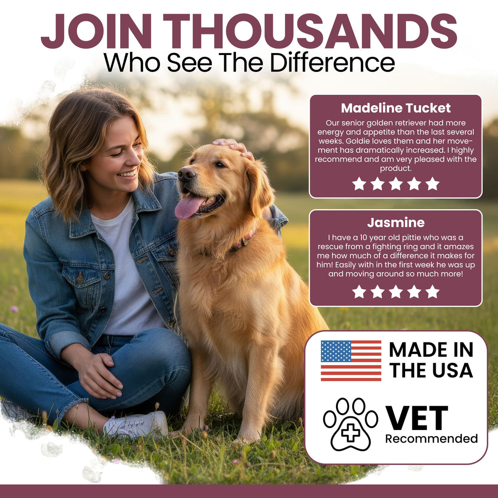 Dog Multivitamin Soft Chew B490